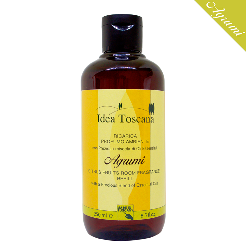 Accessori per Spremiagrumi di Ricambio per Set di Spremitura di Agrumi TM5 TM6, Accessorio per Succo di Limone e Arancia, Cestello per Filtri, Spremiagrumi Manuale da Cucina Accessori per Spremiagrumi di Ricambio per Set di Spremitura di Agrumi TM5 TM6, Accessorio per Succo di Limone e Arancia, Cestello per Filtri, Spremiagrumi Manuale da Cucina