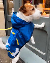 Dog Poncho Japanese Blossom