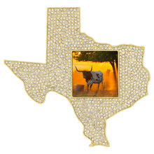 Crystal Texas Picture Frame