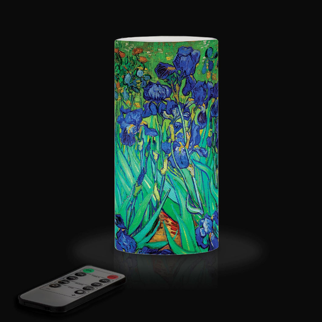 van Gogh Irises 6