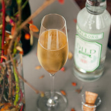 Holmegaard Cabernet Champagne Glass, Clear, 9.8 Oz, 6 Pcs.