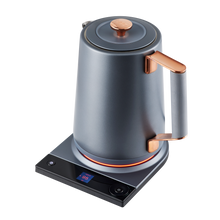 Luna Electric Kettle Pro