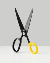 Chroma Scissors
