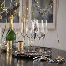 Holmegaard Cabernet Champagne Glass, Clear, 9.8 Oz, 6 Pcs.