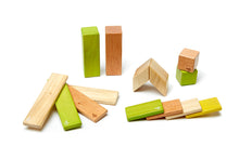 14-Piece Set Magnetic Wooden Blocks Tegu Classics