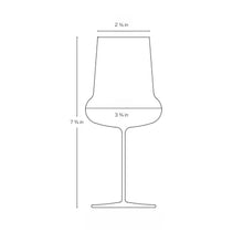Ghost Zero Belly White Wine Glass