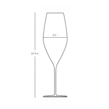 Stem Zero Grace Sparkling Wine Glass