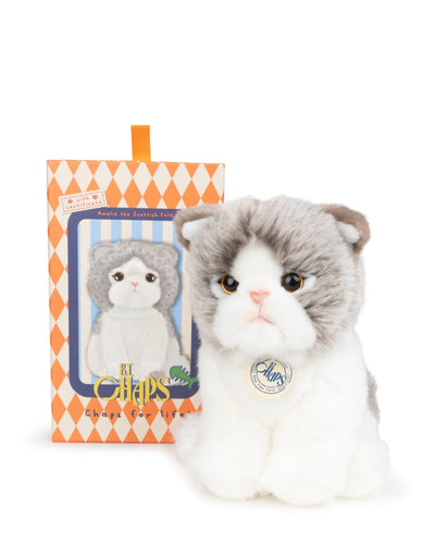 Plush BT CHAPS in Giftbox 6.5