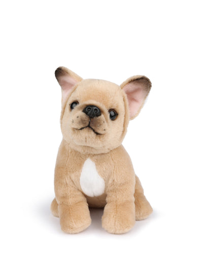 Plush BT CHAPS PHILIPPE the French Bulldog 6.5