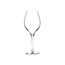 Vinifera Set of 2 White Wine Glasses 360 cc
