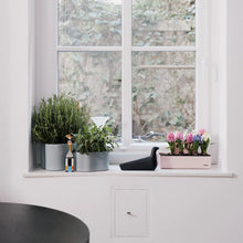 Vitra L'Oiseau - Moss Grey Gloss