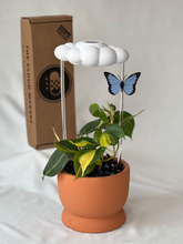Original Dripping Rain Cloud with Blue Butterfly Charm