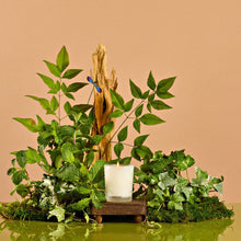 Wild Mint and Ivy Votive Candle