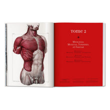 Bourgery. Atlas of Human Anatomy and Surgery (German, French, English)