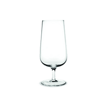 Holmegaard Bouquet Beer Glass, Clear, 17.9 Oz, 6 Pcs.