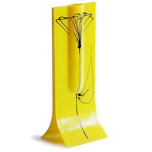 Glass Art Vase Yellow with Black Tulip