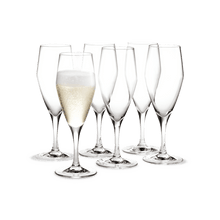 Holmegaard Perfection Champagne Glass, Clear, 7.8 Oz, 6 Pcs.