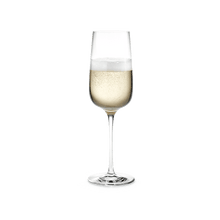 Holmegaard Bouquet Champagne Glass, Clear, 9.8 Oz, 6 Pcs.