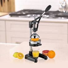 Amalfi" Citrus Press, 7" x 8" x 16.5"