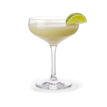 Holmegaard Cabernet Cocktail Glass, Clear, 9.8 Oz, 6 Pcs.