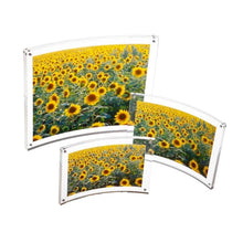 Curved Magnet Frame - Set of 3 Sizes