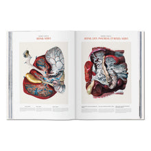 Bourgery. Atlas of Human Anatomy and Surgery (German, French, English)