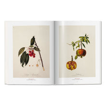 A Garden Eden. Masterpieces of Botanical Illustration (German, French, English)