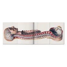 Bourgery. Atlas of Human Anatomy and Surgery (German, French, English)