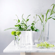 Iittala Alvar Aalto Collection Glass Vase, 270mm