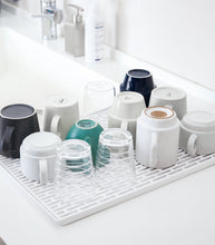 Dish Drainer Tray