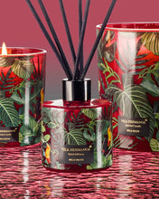 Diffuser Mikado Reed JUNGLETOPIA  100ml