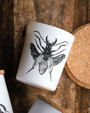 Candle in Jar INSECT 190gr SCARABEUS SACER 3.35 diam. x 4.13 in