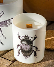 Candle in Jar INSECT Wood Wick 75gr