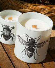 Candle in Jar INSECT 190gr SCARABEUS SACER 3.35 diam. x 4.13 in