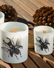 Candle in Jar INSECT 190gr SCARABEUS SACER 3.35 diam. x 4.13 in