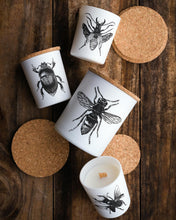Candle in Jar INSECT 190gr SCARABEUS SACER 3.35 diam. x 4.13 in