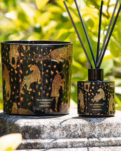 Diffuser Mikado Reed JUNGLETOPIA  100ml