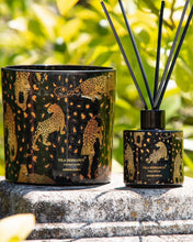 Candle in Jar JUNGLETOPIA 650gr 12x12 Leopard Savage Africa 4.92 diam. x 4.92 in