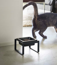 Single Pet Food Bowl - Tall - Steel + Ceramic
