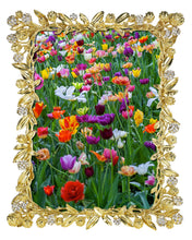 Cornelia Picture Frame