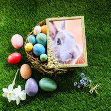 Evelyn 5" x 7" Picture Frame