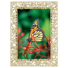 Papillon with Crystals 4" x 6" Picture Frame (Gold)