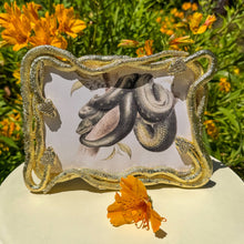 Serpentina 5" x 7" Picture Frame