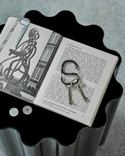 Coachwhip Carabiner