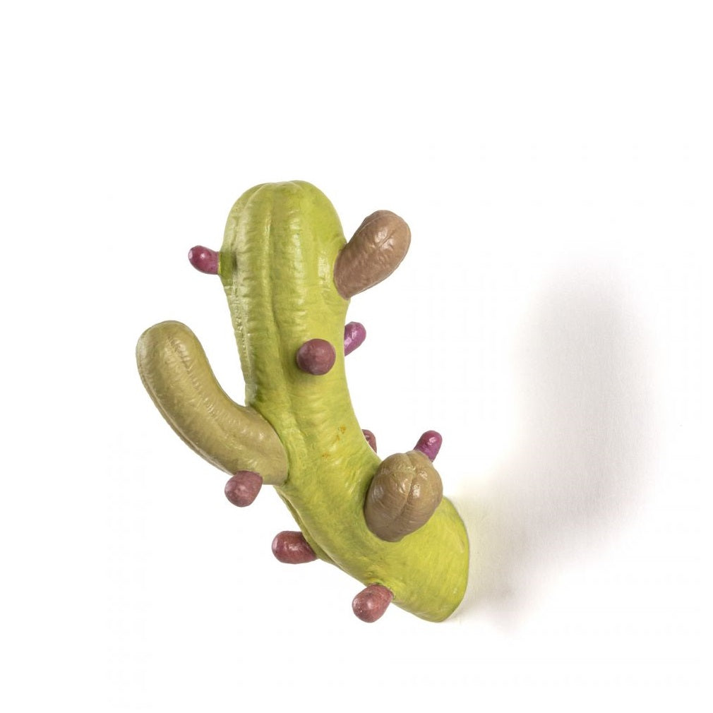 Cactus Wall Hook Hanger