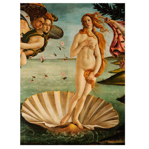 Scetchbook Botticelli, Birth of Venus