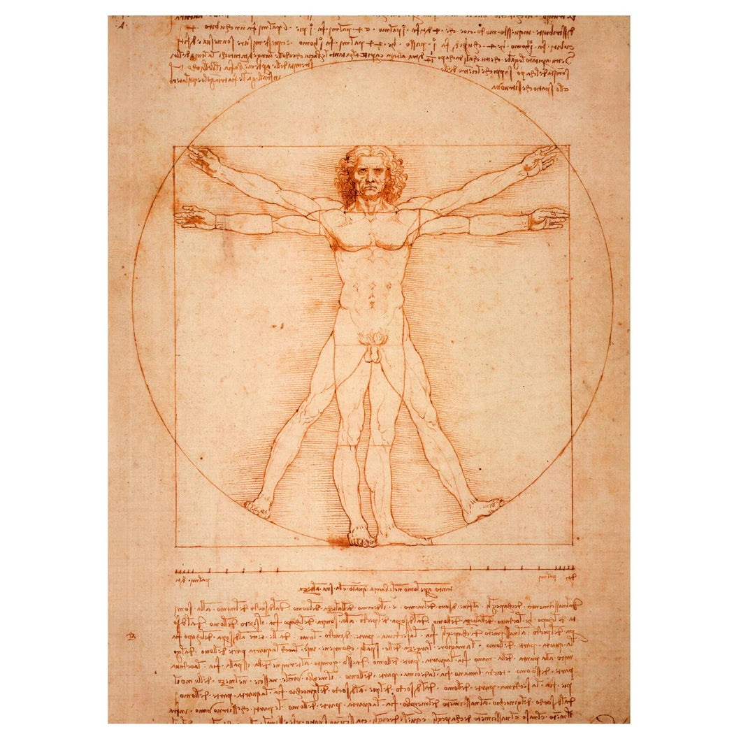 Scetchbook Leonardo da Vinci, The Vitruvian Man