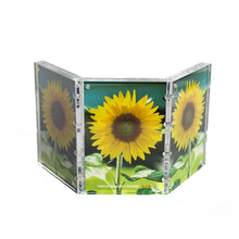 Triple Magnet Frame: 6 Photos Total
