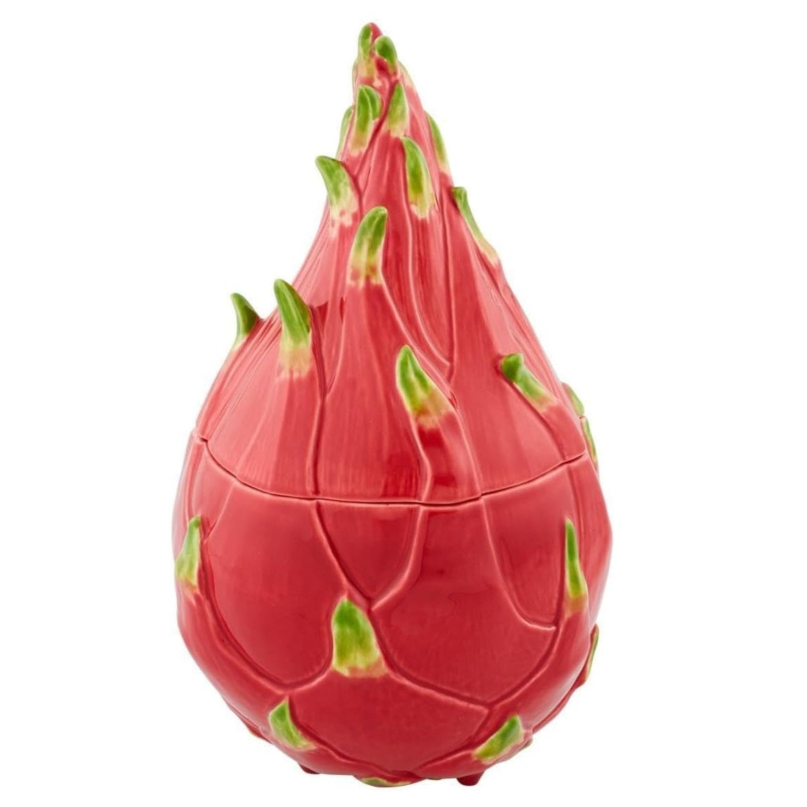 Tropical Fruits Pitaya Dragon Fruit Collection