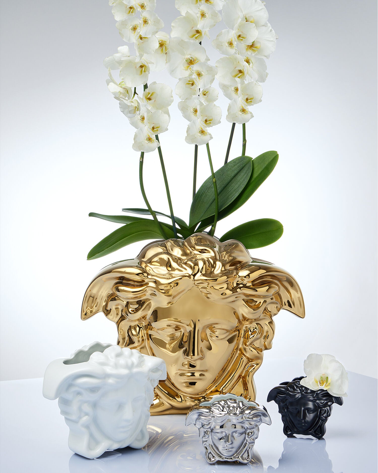 Rosenthal Versace Medusa Grande Vase Silver